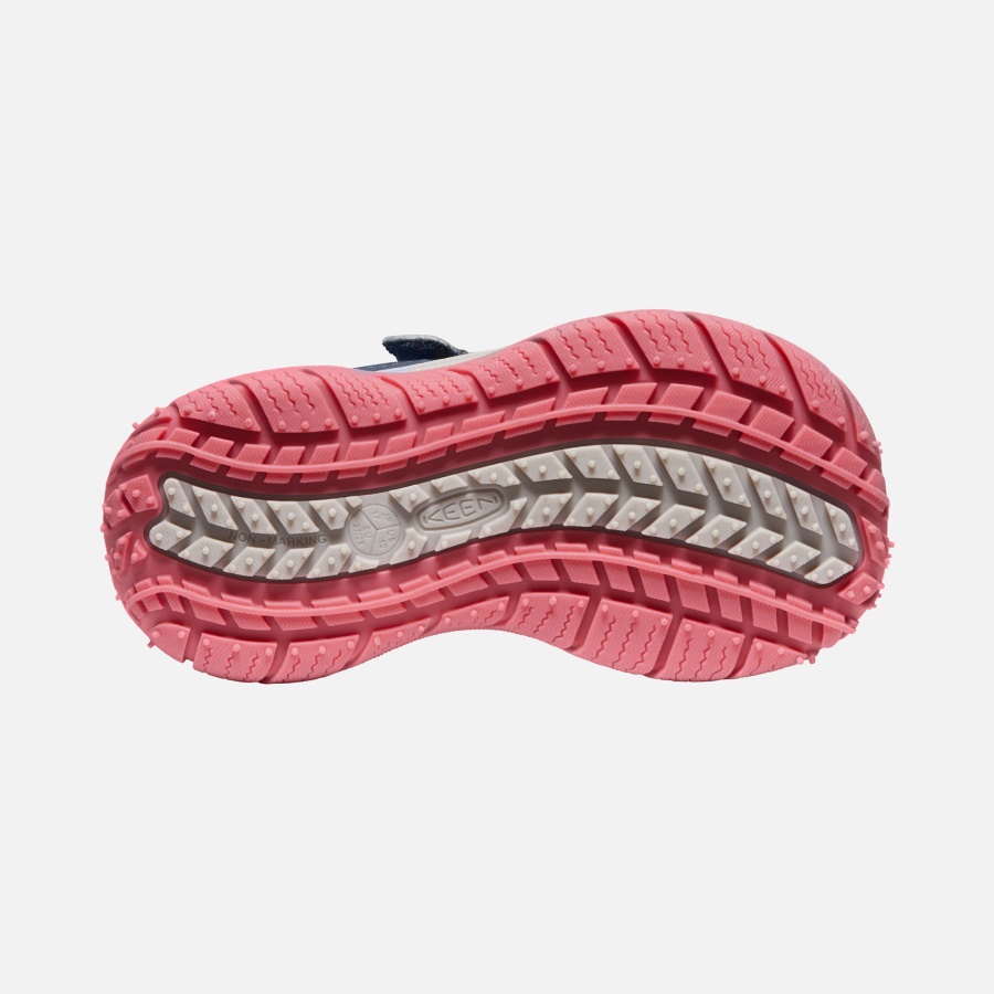 Blue Wing Teal-Fruit Dove Little Kids' Speed Hound Keen