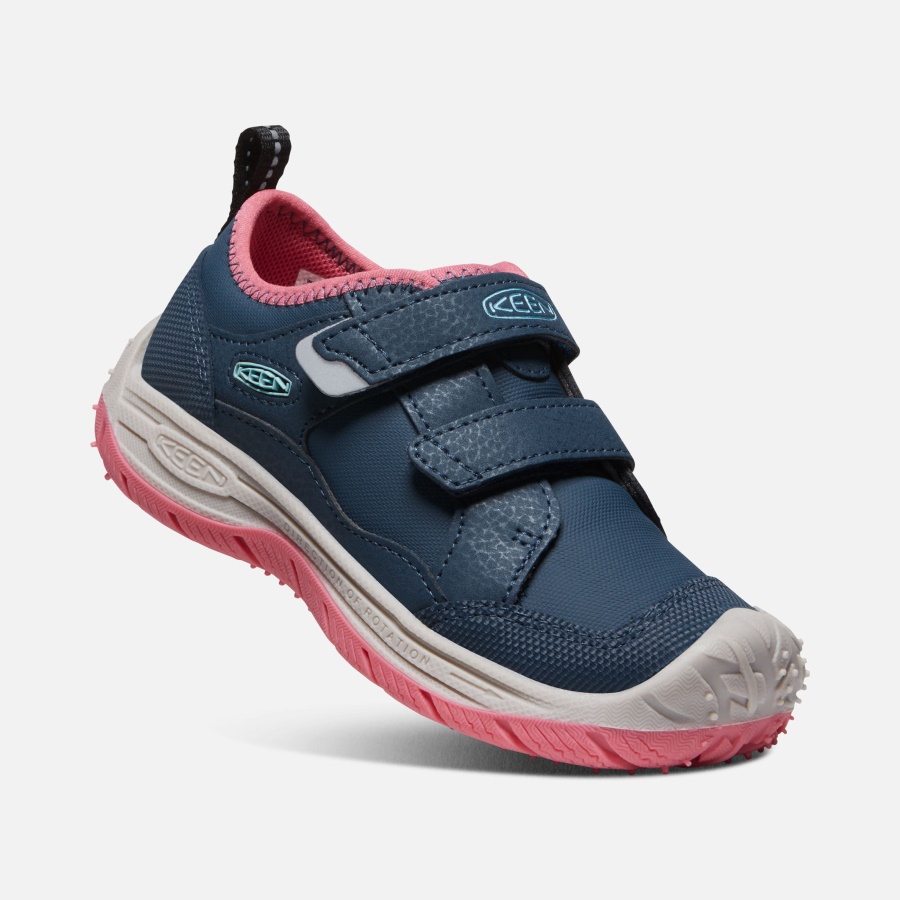 Blue Wing Teal-Fruit Dove Little Kids' Speed Hound Keen