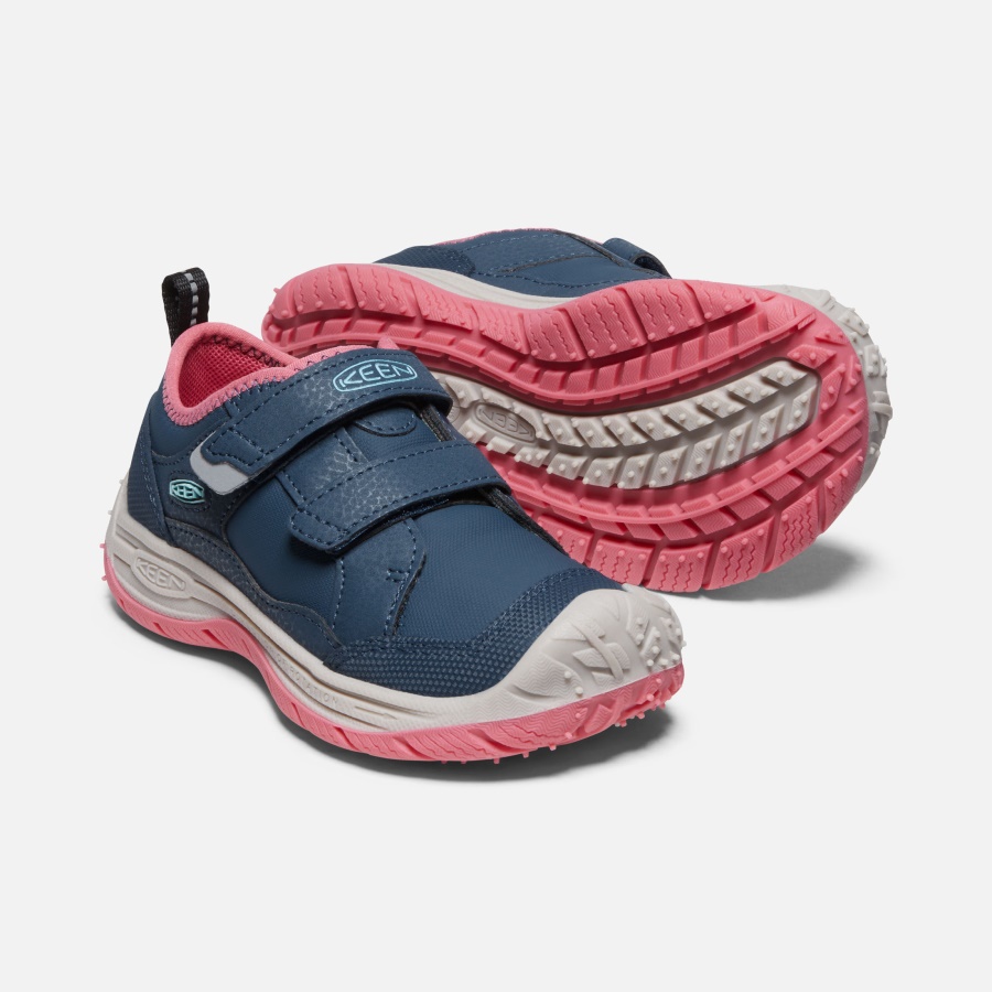 Blue Wing Teal-Fruit Dove Little Kids' Speed Hound Keen