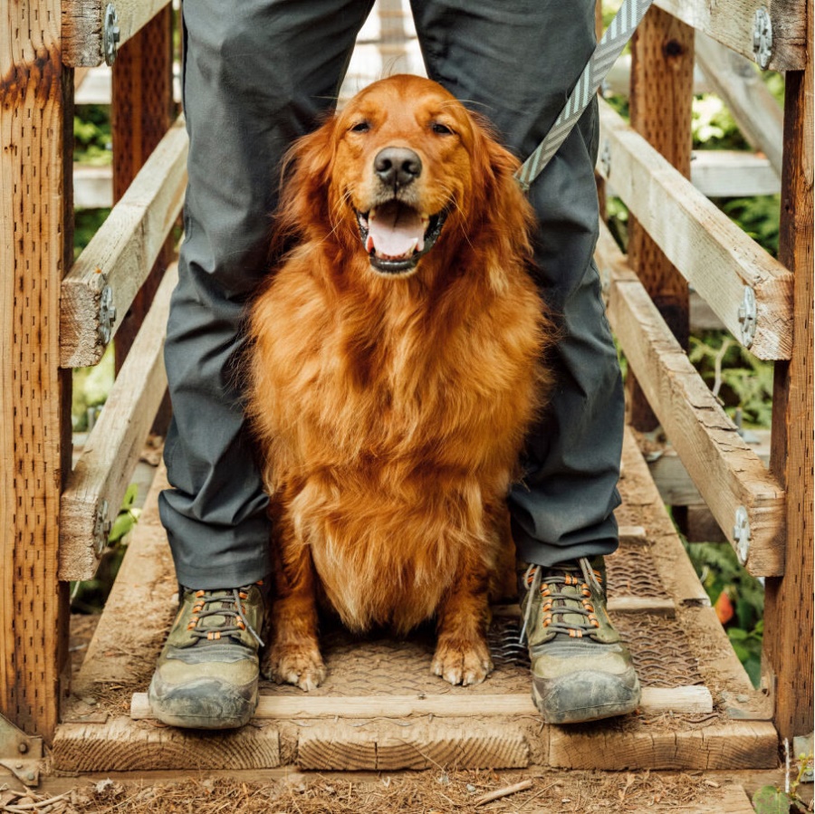 Keen Magnet-Black Men's Ridge Flex Waterproof Boot
