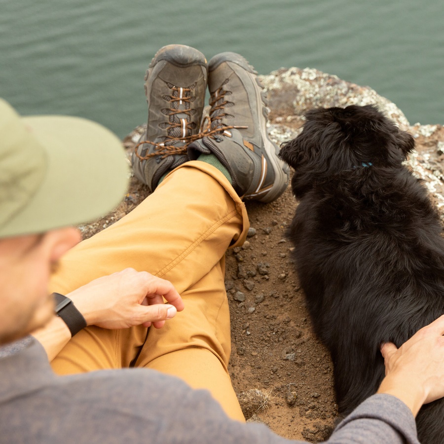 Keen Black Olive-Golden Brown Men's Targhee III Waterproof Mid