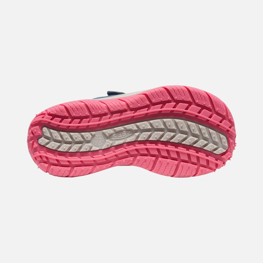 Blue Wing Teal-Fruit Dove Keen Big Kids' Speed Hound