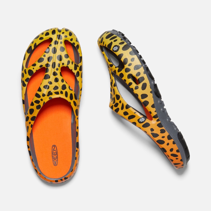 THC Cheetah Rainbow Men's Shanti Arts Keen