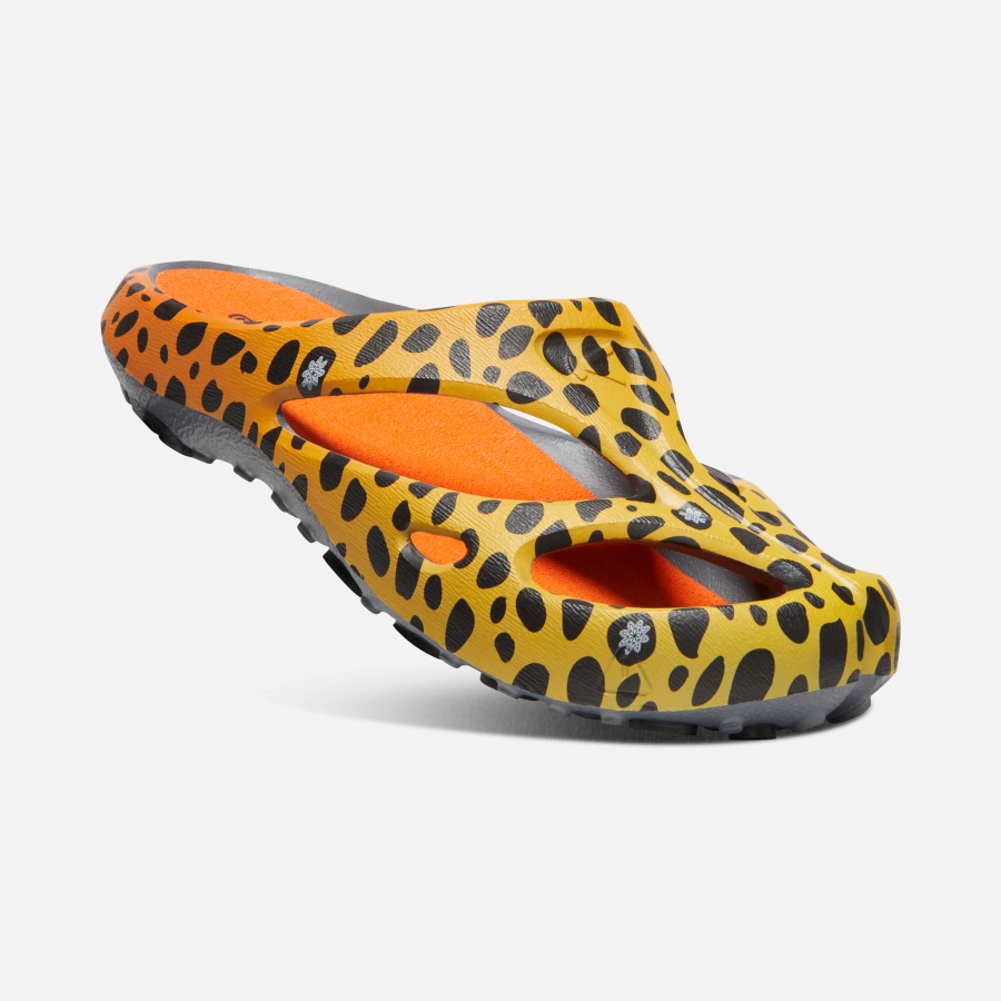 THC Cheetah Rainbow Men's Shanti Arts Keen