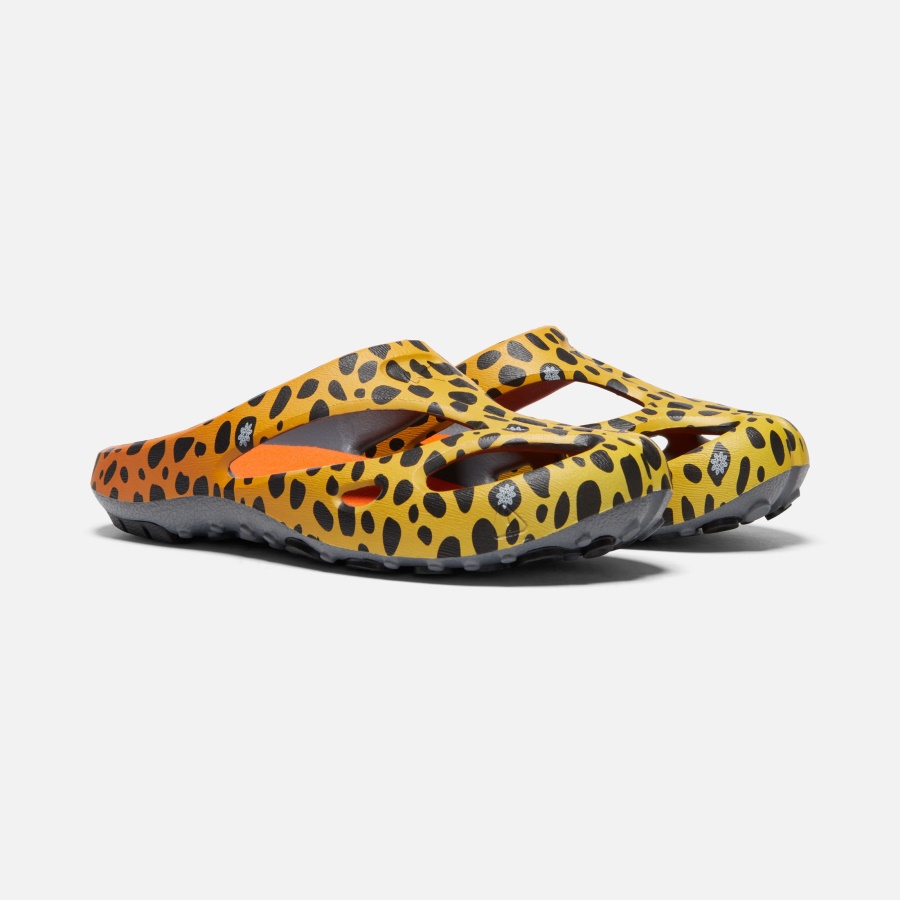 THC Cheetah Rainbow Men's Shanti Arts Keen