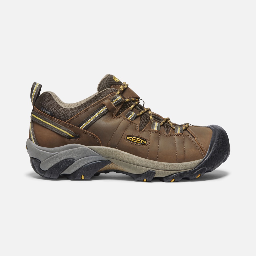 Cascade Brown-Golden Yellow Keen Men's Targhee II Waterproof