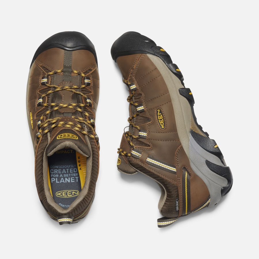 Cascade Brown-Golden Yellow Keen Men's Targhee II Waterproof