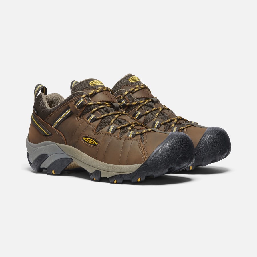 Cascade Brown-Golden Yellow Keen Men's Targhee II Waterproof