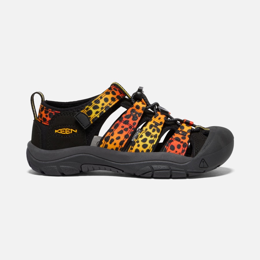 Cheetah Rainbow Big Kids' Newport H2 Keen