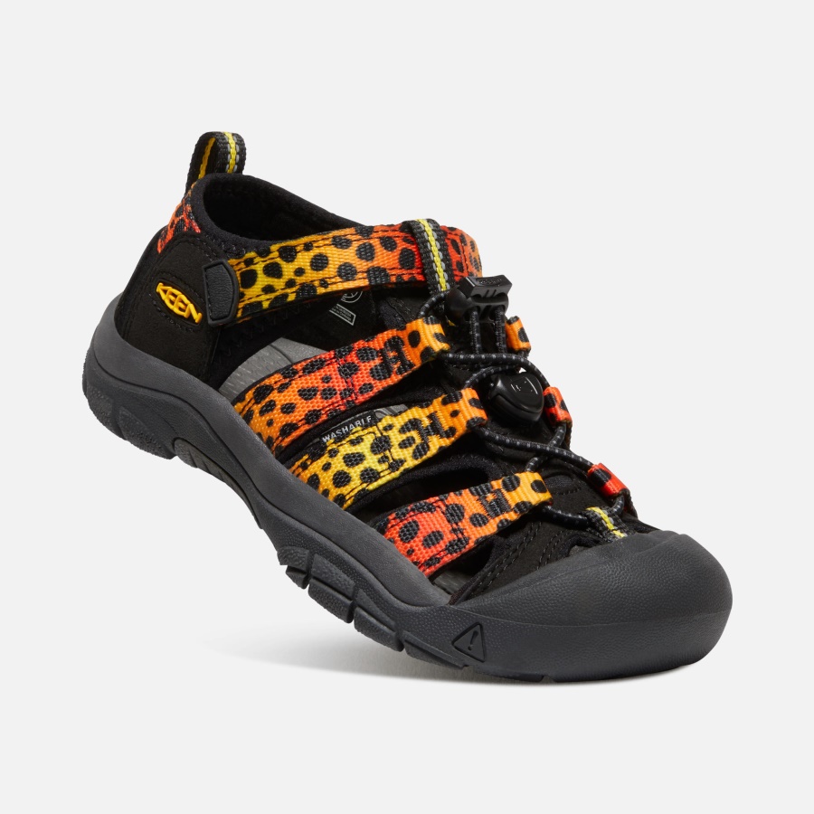 Cheetah Rainbow Big Kids' Newport H2 Keen
