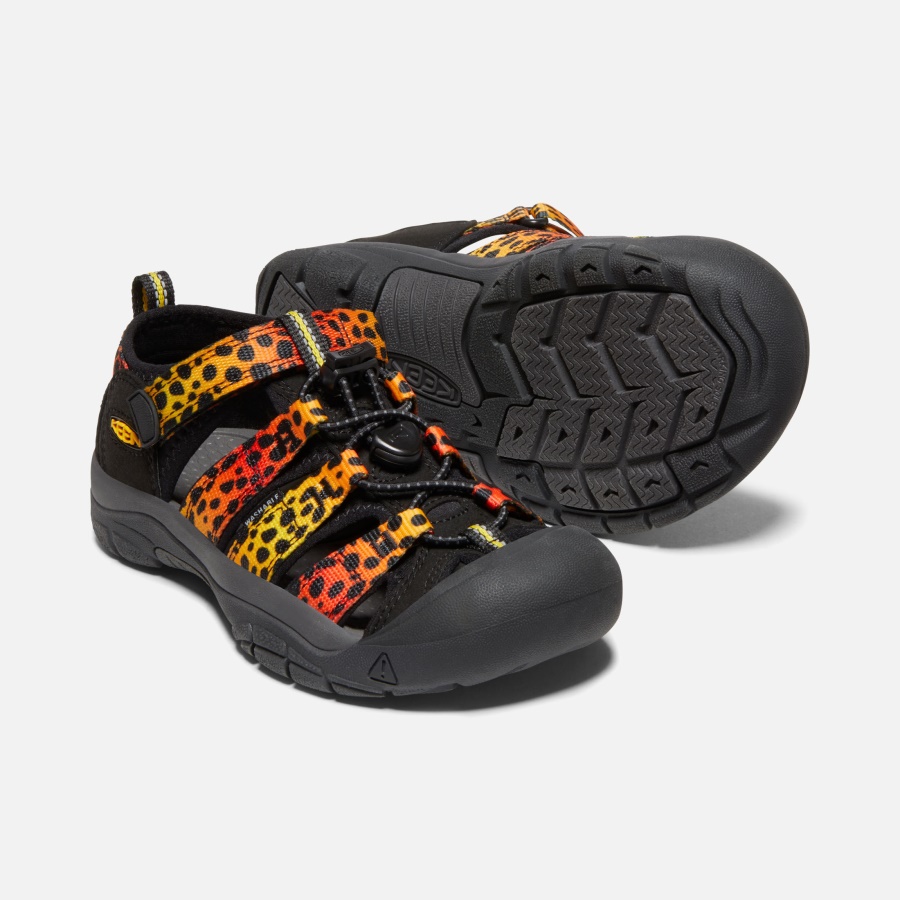 Cheetah Rainbow Big Kids' Newport H2 Keen