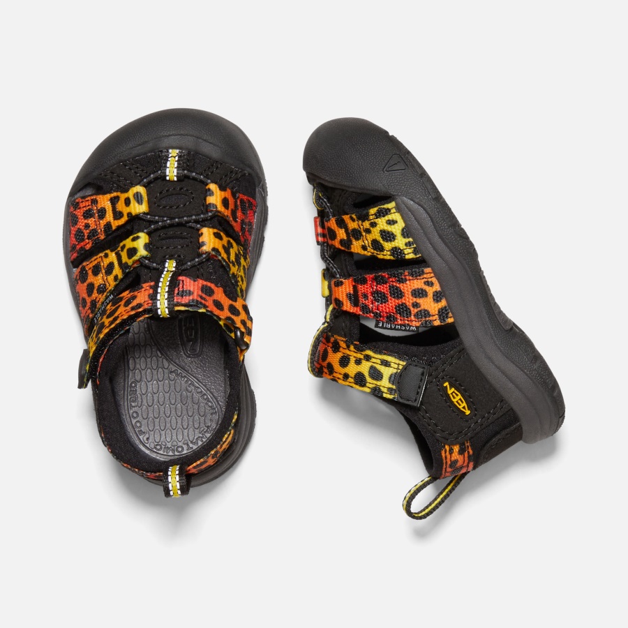 Cheetah Rainbow Keen Toddlers' Newport H2