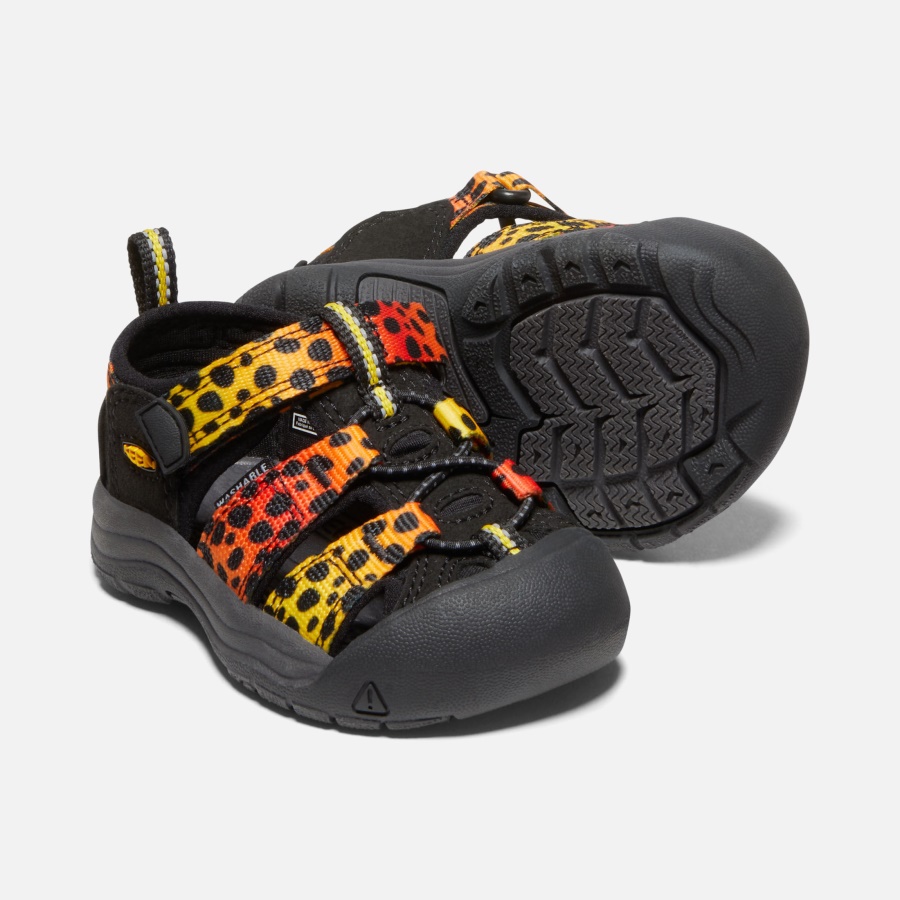 Cheetah Rainbow Keen Toddlers' Newport H2